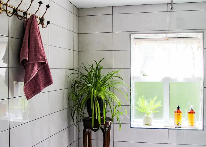 Nyaraló Boss's Chapeltown